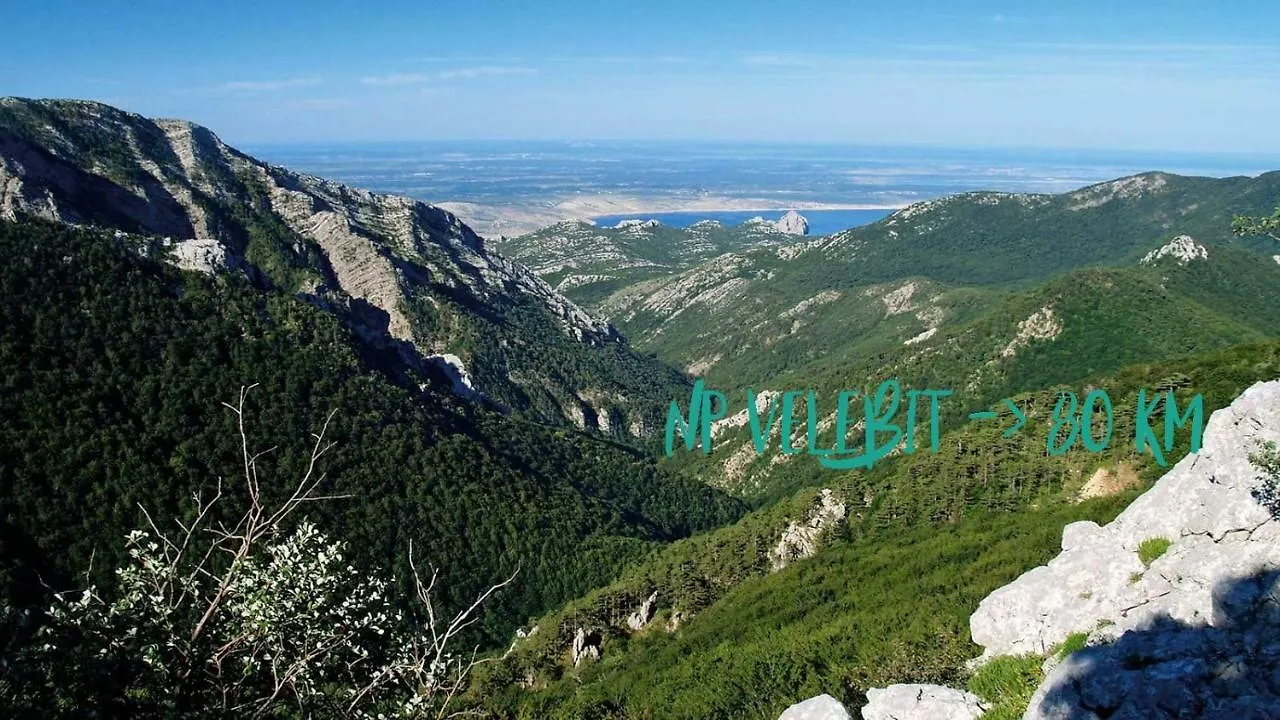 Kvarner View Rooms كلارجيفيكا كرواتيا